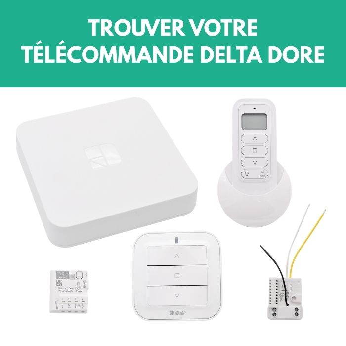 Télécommande Delta Dore